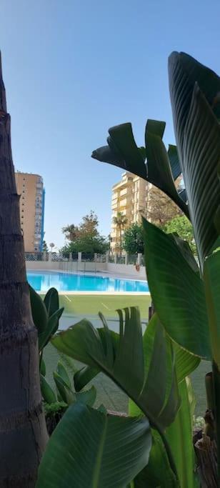 Elegante Alojamiento Con Piscina A 200 M Del Mar. Διαμέρισμα Benalmádena Εξωτερικό φωτογραφία